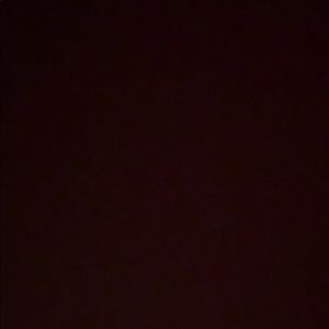 Meet your Posher, Eva